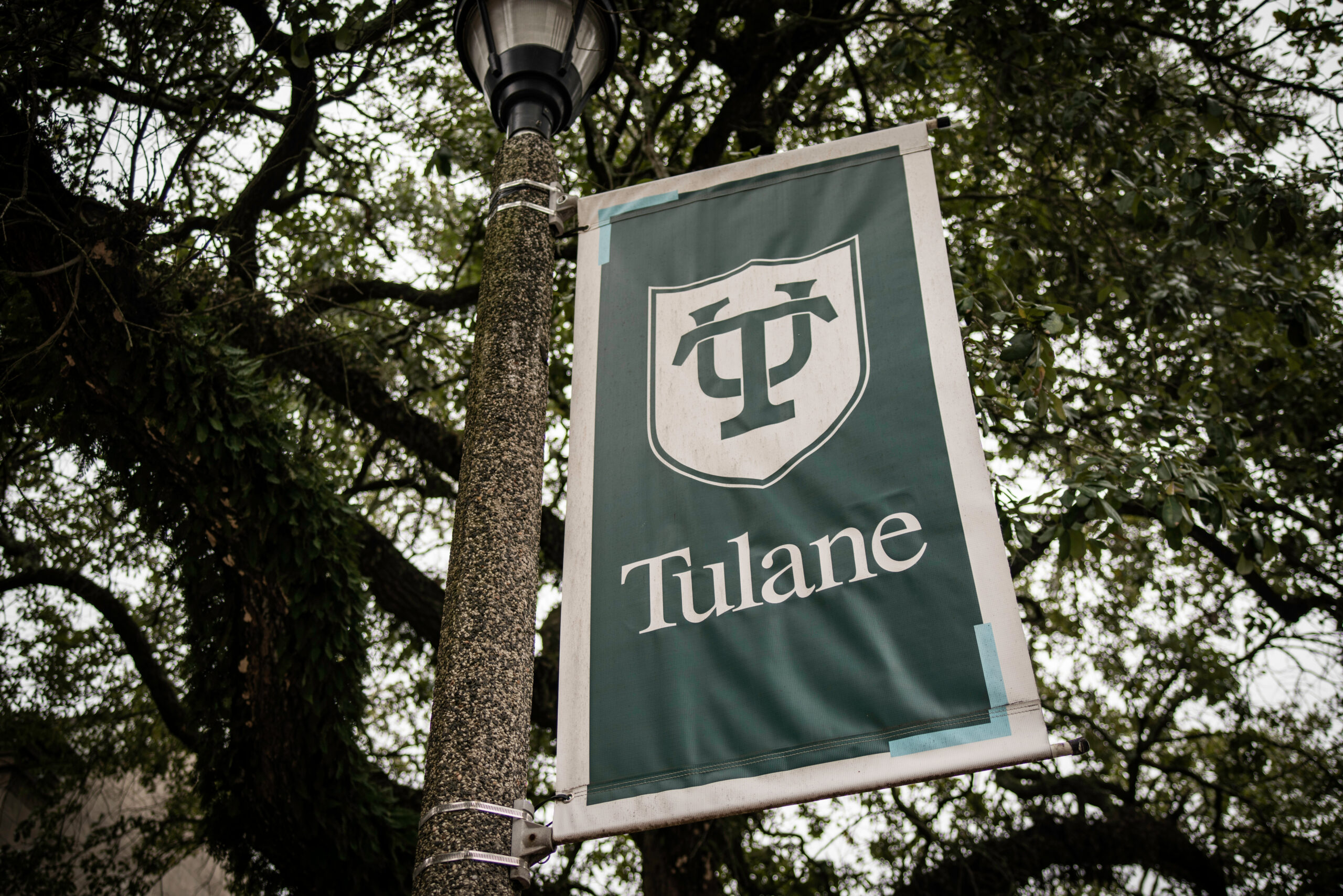 Rendering of Tulane University Charity Hospital